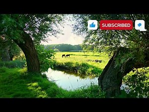 The Sound of the State of Netherlands Pt. 3