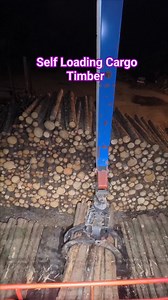 112K views · 683 reactions | Part 2 Self Loading Cargo Timber 5 metters length Loading Norway | Wilfred Bellano Vlog | Facebook