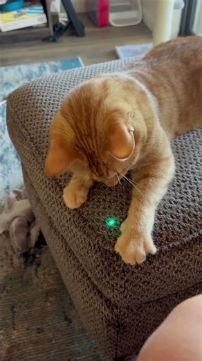 Fraudulent Activity Detected.