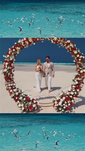 Zanzibar photographer, videographer, drone on Instagram: "Intimate wedding in Zanzibar ✨ Some vows don’t need crowds… Just love, Zanzibar and a secret pristine beach 🤍 Hidden in paradise, a little surprise for the world and a whole new beginning 🌊💍 Zanzibar wedding, slub na Zanzibarze, Zanziweddings, Zanzibar wedding videographer, Zanzibar wedding planner #slubnazanzibarze #zanzibarwedding #zanziwedding #zanzibarweddingvideo"