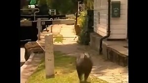 CBBC The Queens Nose Series 3 Episode 1