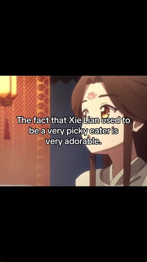That’s my baby. #heavenofficalsblessing #hualian #huacheng #xielian #fyp