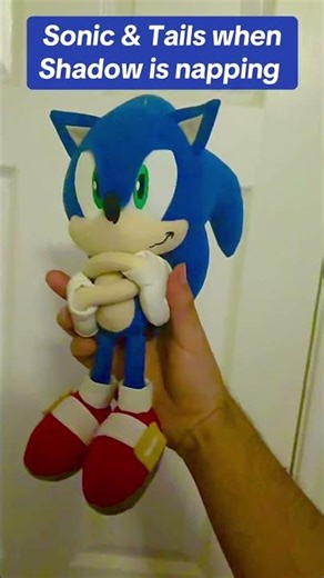 Sonic & Tails When Shadow is Napping #sonicthehedgehog #sonic #sonicplushvideo #sonicplush
