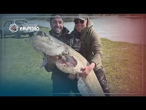 მეგრული ლოქო