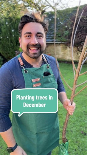 How to Plant Bare Root Trees in December Easily