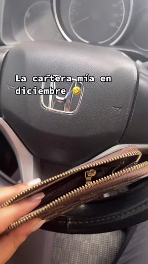 Exploring the Contents of an Open Wallet