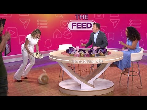 Jenna Bush Hager Pulls an Epic April Fool's Prank on Willie Geist