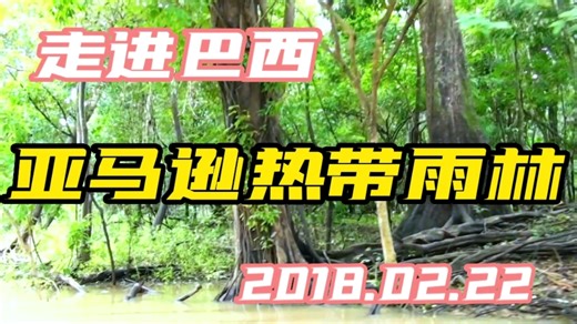 走进巴西 亚马逊热带雨林