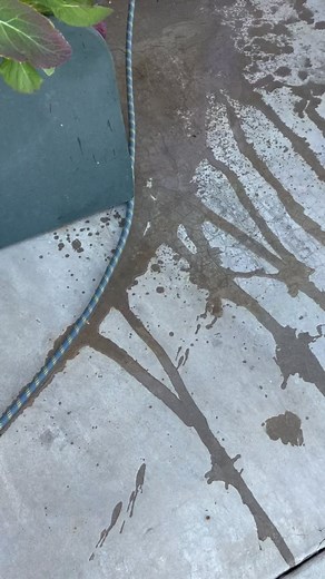 Say ain’t so . Man bring us what you can. The game is lonely. Dogg Pound Gangstas | Suga Free