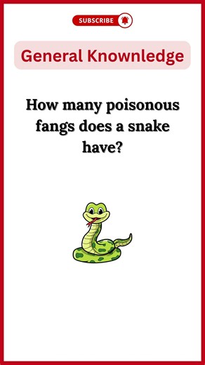 General Knowledge question answer in English #gkquiz #gkfacts #sarkarinakurigk #education
