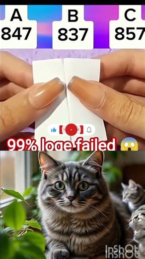 no one guess this number #viral #funny #catvideo #dance #memes #ajjubhaiinmymatch #dancecat #cat