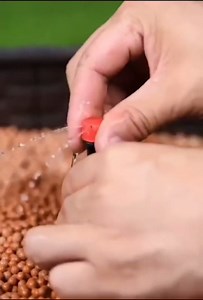 50pcs Drip Emitters for 1/4"" Drip Irrigation Tubing, Adjustable 360 Degree Water Flow Drippers on 5"" Arrow Stake, Garden Irrigation Drippers for (4-7mm) Watering System, BLACK AND RED