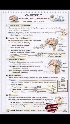 science rapid revision class 10 exercise solutions #chemistry #class10science #trending #viral