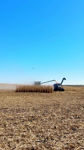 Melody Massoth on Reels