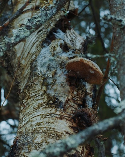 86K views · 2.6K reactions | What shaped all the special mountains of Norway? We might have an answer! | Visit Norway | Facebook