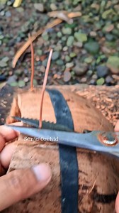 Making coconut fiber pots‼️very beautiful after planting orchids🤩 #fblifestyle #diypot #cocofiberpot #orchidpot | Senja Orchid