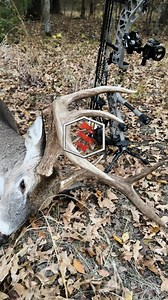 Moments Made Possible by Precision A quick look at what happens when preparation and a clean release come together. Scott delivers the control and confidence needed to make the shot — and fill the tag. #ScottArchery | Scott Archery