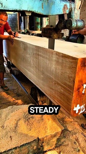 only a bandsaw can cut wood this thin #chainsaw #sawblade #treecutting #sawblade