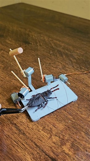 Science & Engineering on Instagram: "New cockroach trap with mochi style sticks and dc motor 😆 viral mochi #cockroach #trap #funny #engineering #viral #dcmotor #mochi #japan"