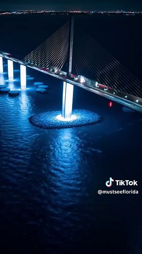 Experience the Tallest Bridge in Florida: Sunshine Skyway
