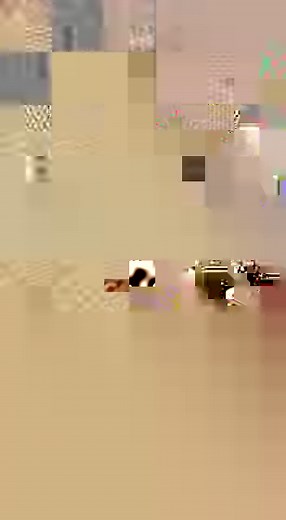 2.5K views · 19 reactions | Zambian Eye News on Reels | Facebook