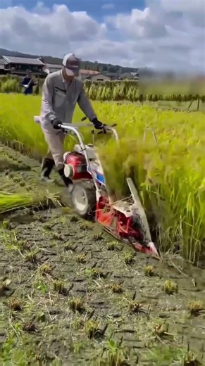 sho Hand-Pushed Reaper & Baler All-in-One!#shorts