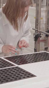 28K views · 79 reactions | Mass Production Of Veggies! | Science, Tech and Universe | Facebook