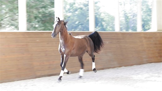 1K views | Iron Spring Farm on Reels | Facebook