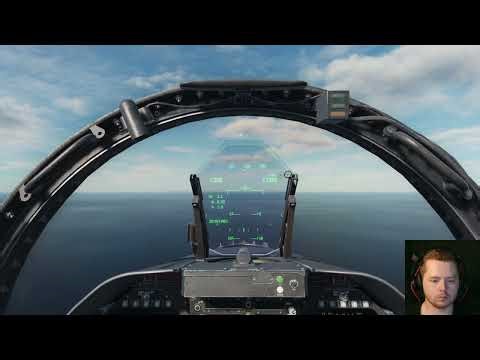 DCS Head Tracking - Raptor Works Goshawk