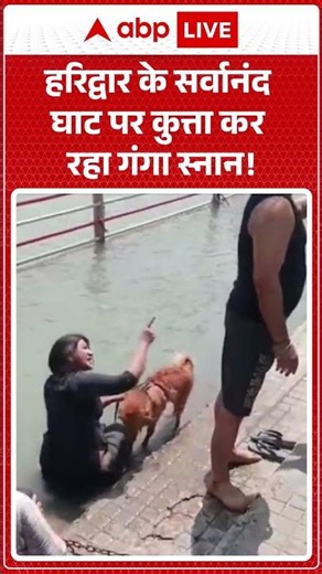 Haridwar के Sarvanand Ghat पर कुत्ता कर रहा गंगा स्नान! #viralvideo #trendingshorts #ytshorts