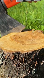 222K views · 389 reactions | Holding Tool on Tree Stump! | Science, Tech and Universe | Facebook