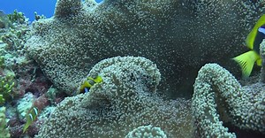 Video by JUN HO LEE on Pexels