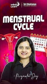 Menstrual Cycle Explained in one Minute || #InfinityLearnNEET #shorts