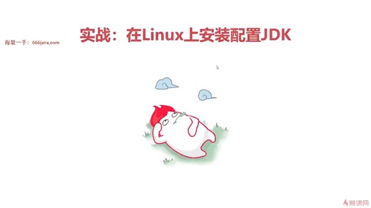 29. 在Linux上安装配置JDK