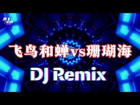 飞鸟和蝉 VS 琵琶海 - 震撼低音🔥 超嗨中文DJ Remix | TikTok热门 | JMC DJ Remix Channel