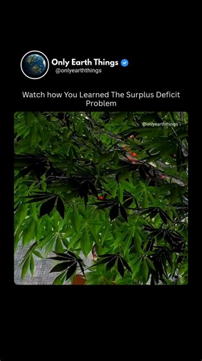 Only Earth Things on Instagram: "The surplus–deficit problem was learned by breaking real-life situations into simple math — comparing what you have versus what you need. By adding gains and subtracting losses step by step, the concept suddenly clicks, turning confusion into clarity and showing how numbers quietly explain everyday balance and shortage. #MathConcepts #SurplusDeficit #LearningMath #DidYouKnow #EducationShorts #FYP #Principle888 #explore"