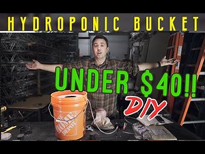 Hydroponics Bucket Grower for UNDER $40! DIY Build. DWC Deep Water Culture hydro grow station.
