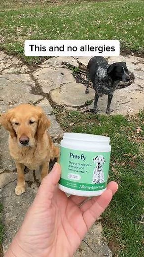 Upgrade Your Dog’s Quality of Life with Pawfy Allergy & Immune 🐶💥 Does your dog suffer from allergies and constant itching? Pawfy Allergy & Immune helps stop allergy-induced havoc and boosts your dog’s immune system so they can feel their best! ✅ Reduces Seasonal Allergies & Constant Itching ✅ Boosts Immune System Function ✅ Promotes Healthy Skin & Coat ✅ All-Natural Ingredients for Safe, Effective Relief ⭐Rated 4.7 out of 5 stars based on customer reviews 🚚 FREE U.S. Shipping 🎯 100% Money-B