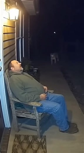 13K views · 484 reactions | "This Man Was Sleeping… Then a Cheetah Attacked! " #cheetahattack #funny #wildanimals #CheetahAttack #WildlifeVideo #Unbelievable #CrazyAnimals #PredatorAttack #CaughtOnCamera #ViralShorts #DangerousAnimals #NatureIsWild #HeartStopping #WildPredators #MustWatch #AnimalPlanet #EpicWildlife | AnimalX | Facebook