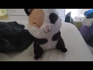 Gerbil John Animation 7