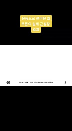 оригинальный звук - 대한보디빌딩휘트니스연맹이(가) 포함된 대한보디빌딩휘트니스연맹 (@koreanbodybuilding) 님의 동영상