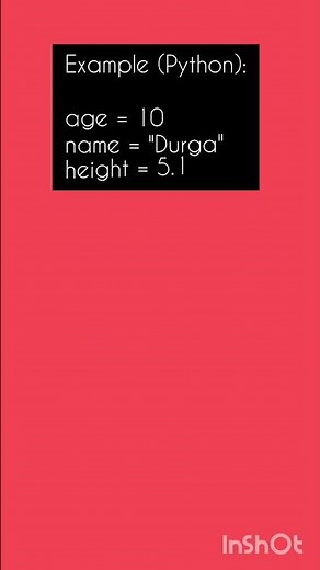 Variables for Beginners — Easy Explanation (Day 2)