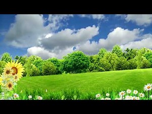 Beautiful Grass Field Background, Nature Video Background, Landscape Background #BSmotion