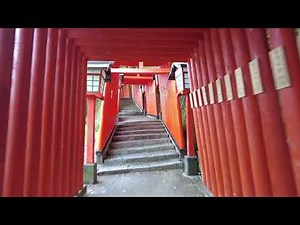 Tsuwano Taikodani Inari shrine large number of Torii｜津和野 太鼓谷稲荷神社 千本鳥居