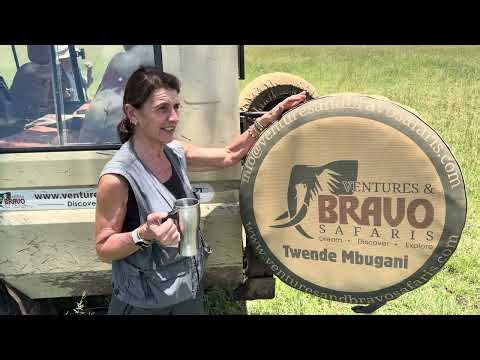 Tanzania Travel Guide 2026 | Best Safari & Adventure Tours