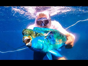 SPEARFISHING on ULTRA-REMOTE Island {Catch Clean Cook} Pagan, CNMI