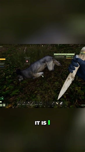 Sir Twigs vs. Giant Wolf: Inventory, Hydration & Survival! | Icarus Survival ##icarus #gameplay