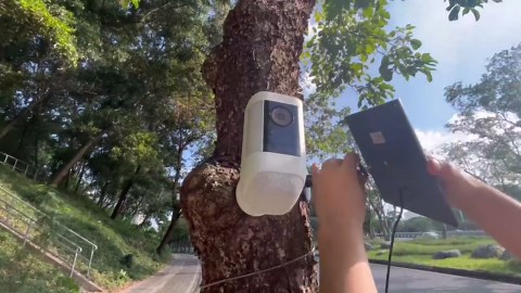 1 Pack - Solar Panel for Ring Security Camera Spotlight Cam Plus/Pro(Battery) Stick Up Cam/Pro Wireless Outdoor with 10FT/3M Long Cable Dustproof Waterproof BK