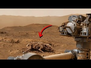 Real Video Mars Planet || NASA Perseverance Rover Latest Images