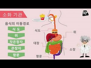 2 신기한 우리 몸